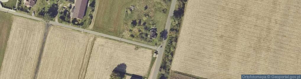 Zdjęcie satelitarne Dzierzbin-Kolonia ul.