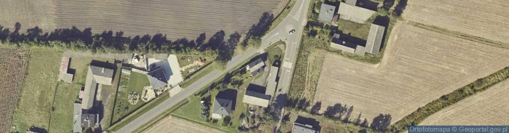 Zdjęcie satelitarne Dzierzbin-Kolonia ul.