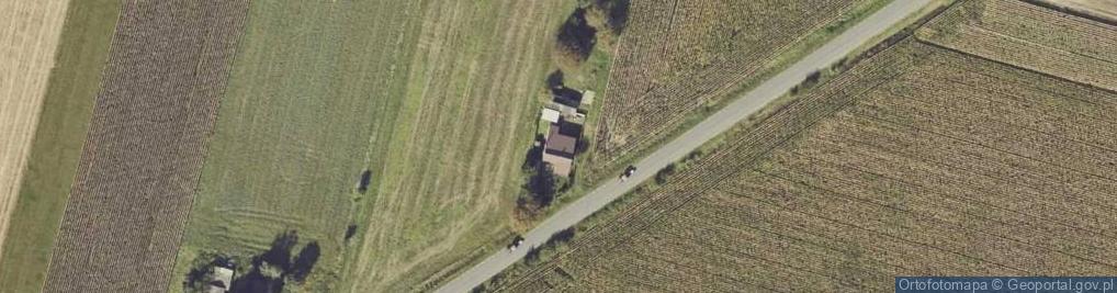 Zdjęcie satelitarne Dzierzbin-Kolonia ul.