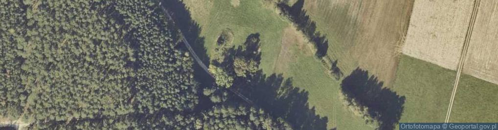 Zdjęcie satelitarne Dzierzbin-Kolonia ul.