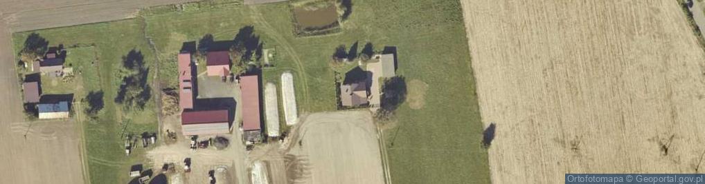 Zdjęcie satelitarne Dzierzbin-Kolonia ul.