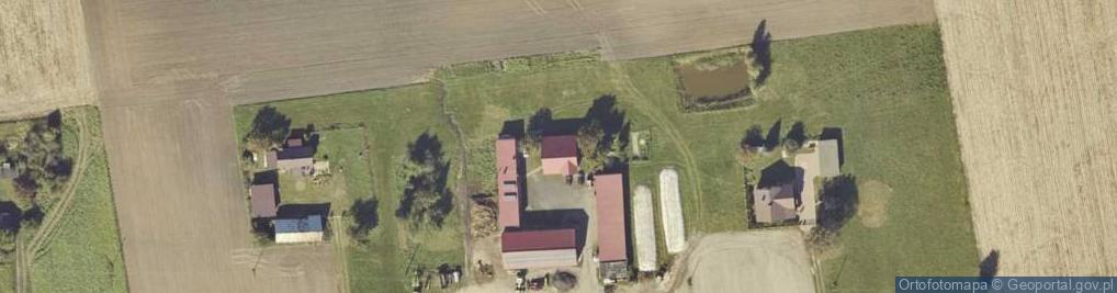 Zdjęcie satelitarne Dzierzbin-Kolonia ul.
