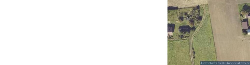 Zdjęcie satelitarne Dzierzbin-Kolonia ul.