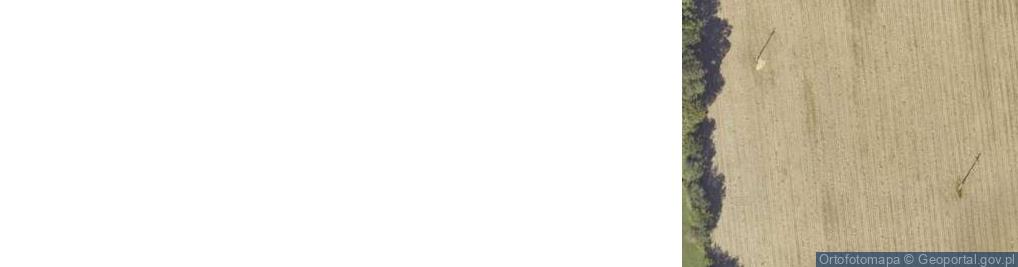 Zdjęcie satelitarne Dzierzbin-Kolonia ul.