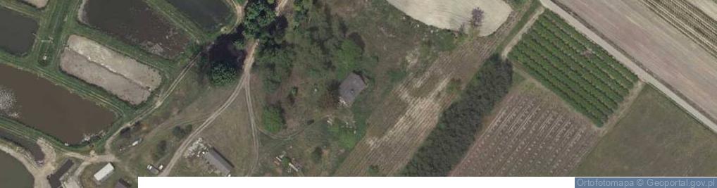 Zdjęcie satelitarne Dzierzkowice-Wola ul.