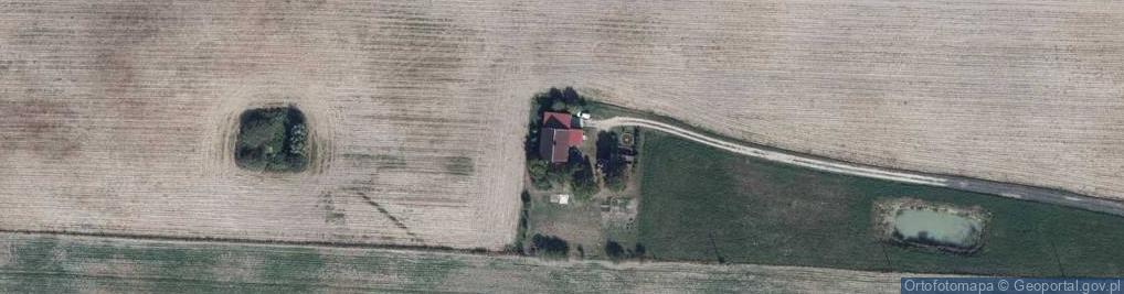 Zdjęcie satelitarne Dzierzno ul.