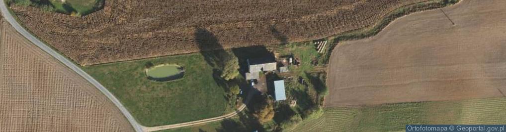 Zdjęcie satelitarne Dzierzno ul.