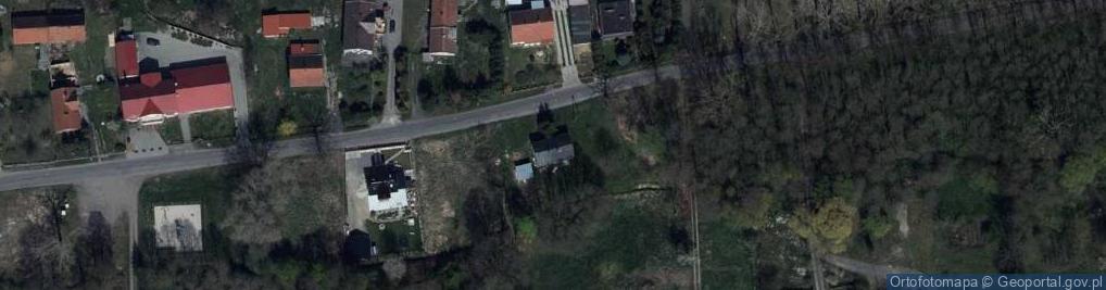 Zdjęcie satelitarne Dzietrzychowice ul.