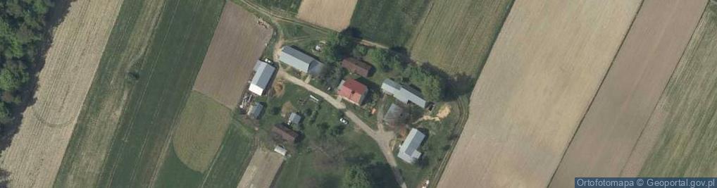 Zdjęcie satelitarne Dziewięcierz ul.