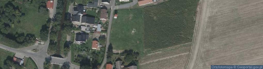 Zdjęcie satelitarne Dziewiętlice ul.