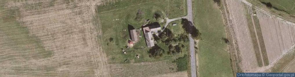 Zdjęcie satelitarne Dzikowiec ul.