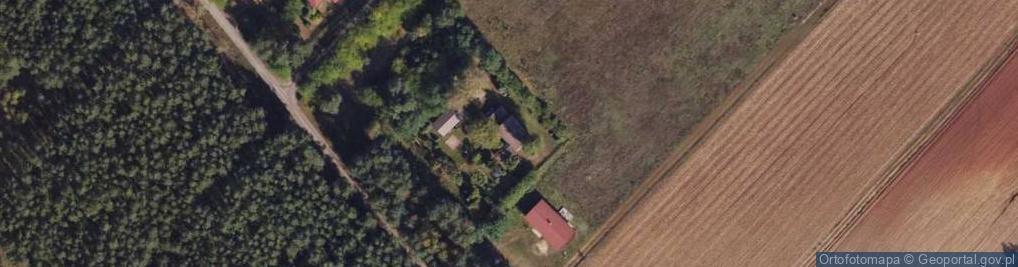 Zdjęcie satelitarne Dzikowska ul.