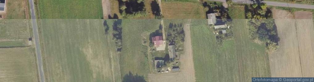 Zdjęcie satelitarne Dzióbin ul.