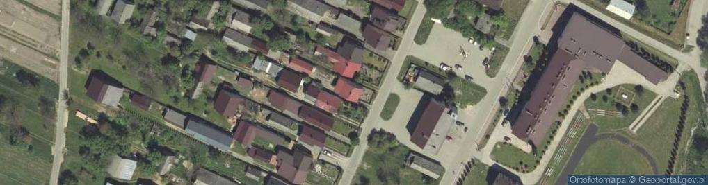 Zdjęcie satelitarne Dzwola ul.