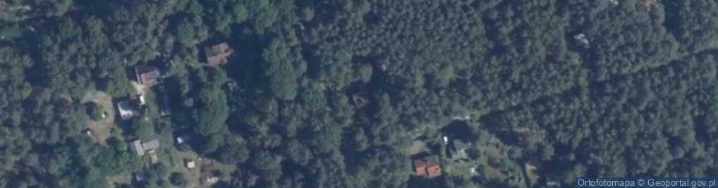 Zdjęcie satelitarne Działkowa ul.