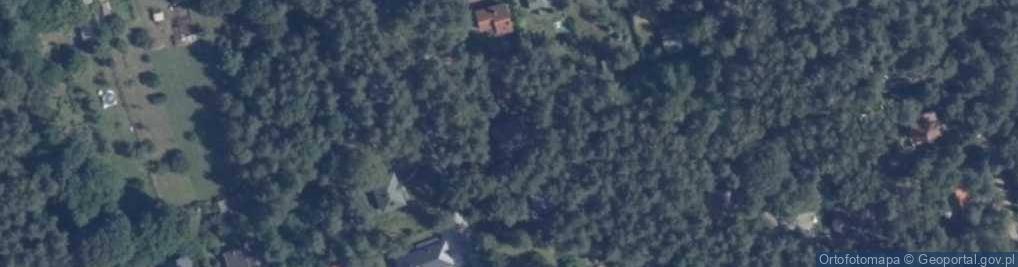 Zdjęcie satelitarne Działkowa ul.