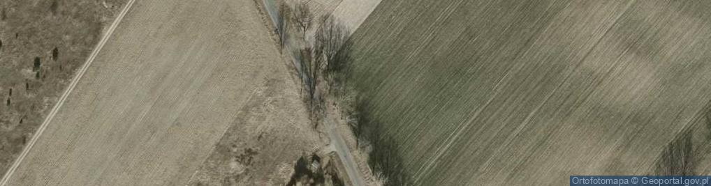 Zdjęcie satelitarne Dziuplińska ul.