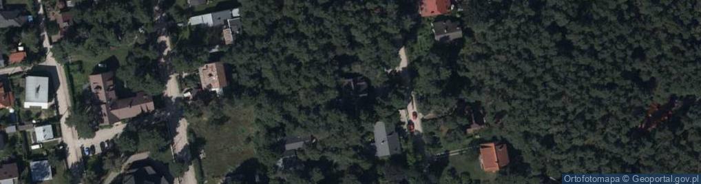 Zdjęcie satelitarne Dzika ul.