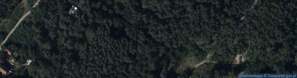 Zdjęcie satelitarne Dziekońska ul.