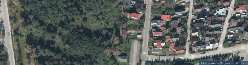 Zdjęcie satelitarne Dzika ul.