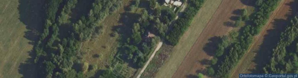 Zdjęcie satelitarne Dzikiej Gruszy ul.