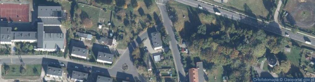 Zdjęcie satelitarne Działkowa ul.