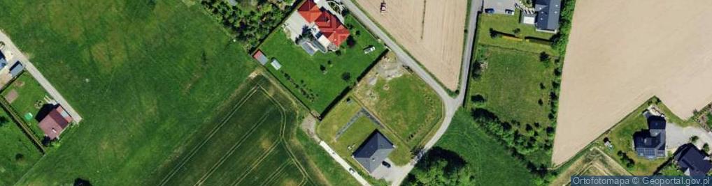Zdjęcie satelitarne Dzielowy ul.