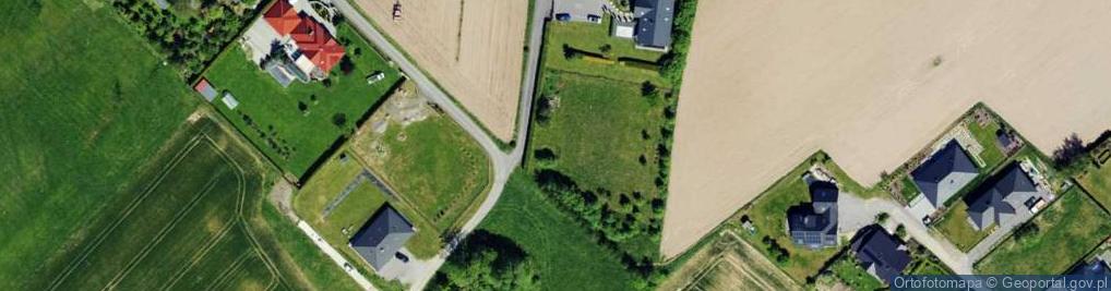 Zdjęcie satelitarne Dzielowy ul.