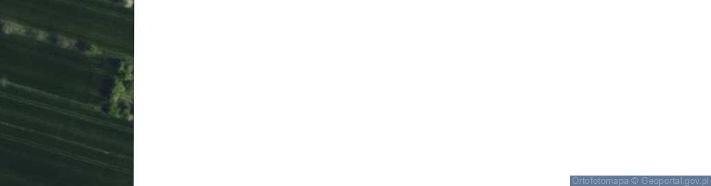 Zdjęcie satelitarne Działkowiczów ul.