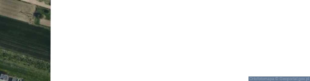 Zdjęcie satelitarne Działkowiczów ul.