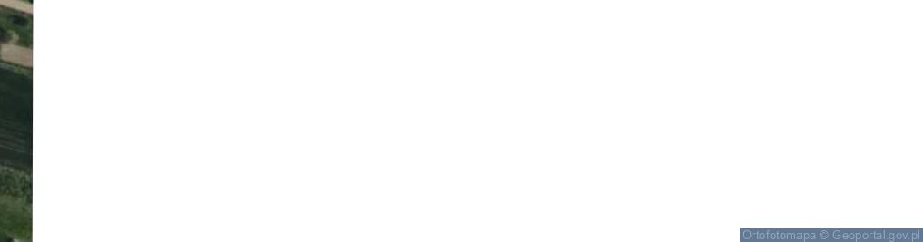 Zdjęcie satelitarne Działkowiczów ul.