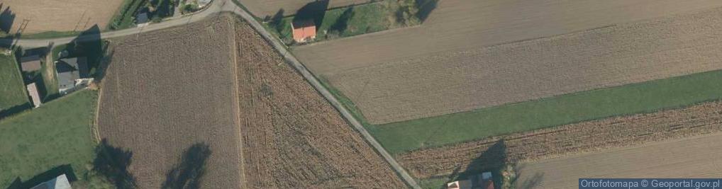 Zdjęcie satelitarne Dzierżonia ul.