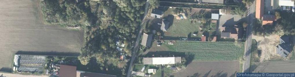 Zdjęcie satelitarne Dzika ul.