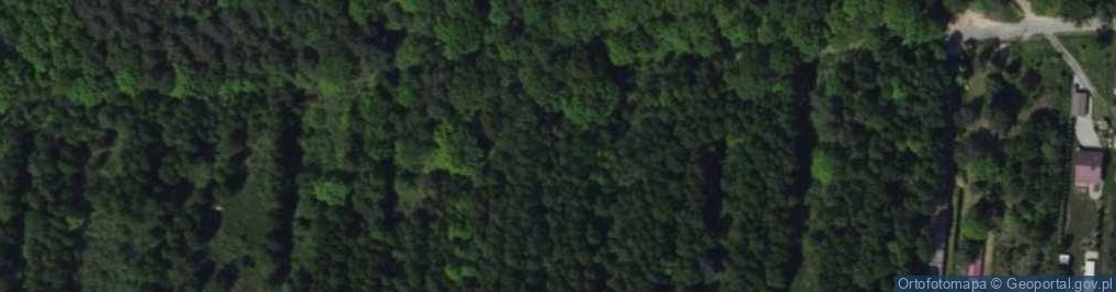Zdjęcie satelitarne Działkowa ul.