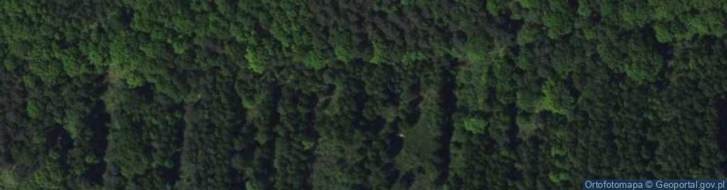 Zdjęcie satelitarne Działkowa ul.