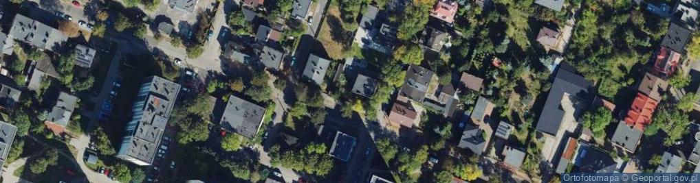 Zdjęcie satelitarne Dziewicza ul.
