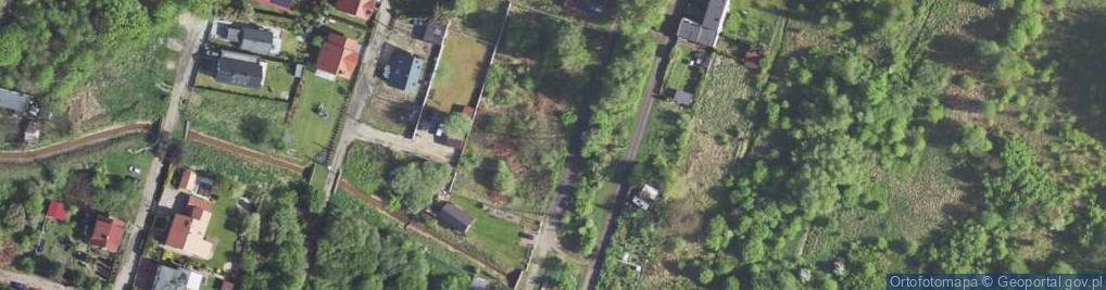 Zdjęcie satelitarne Dzielna ul.