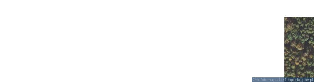 Zdjęcie satelitarne Dziubek ul.