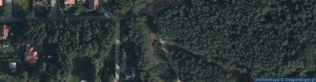 Zdjęcie satelitarne Dzika ul.