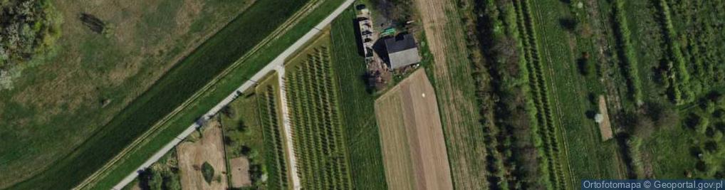 Zdjęcie satelitarne Dzikowska ul.