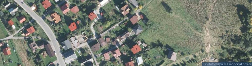 Zdjęcie satelitarne Dziedziców ul.