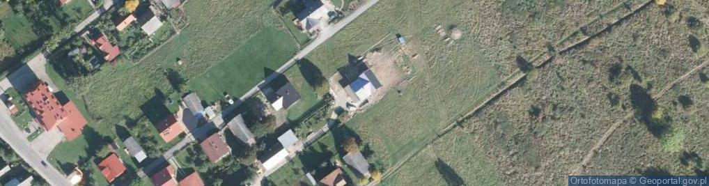 Zdjęcie satelitarne Dziedziców ul.