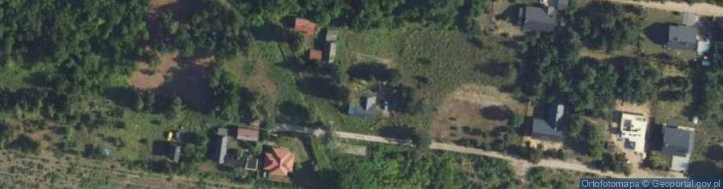 Zdjęcie satelitarne Dzika ul.