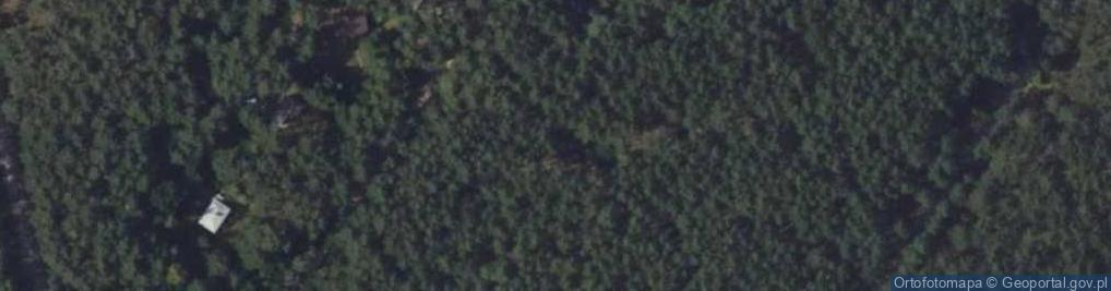 Zdjęcie satelitarne Echa Leśne ul.