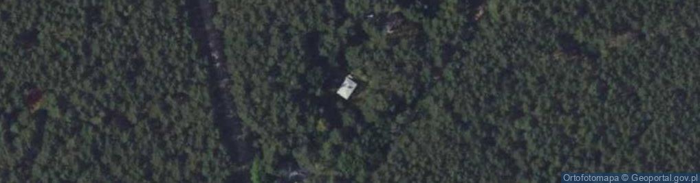 Zdjęcie satelitarne Echa Leśne ul.