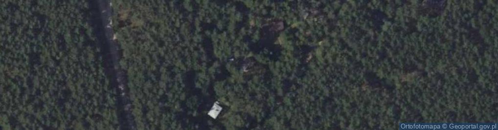 Zdjęcie satelitarne Echa Leśne ul.