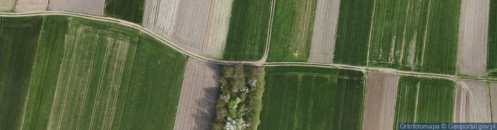 Zdjęcie satelitarne Eryka ul.