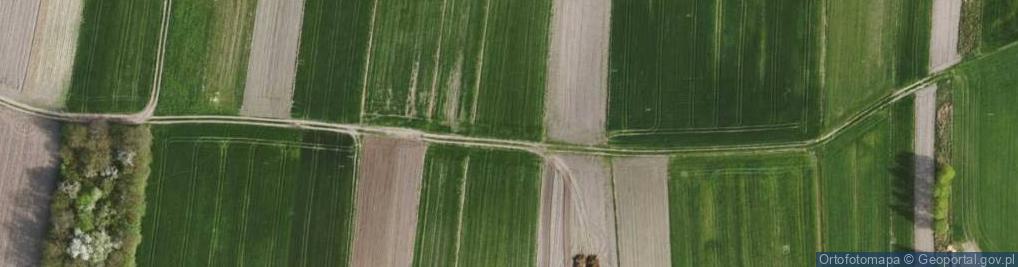 Zdjęcie satelitarne Eryka ul.