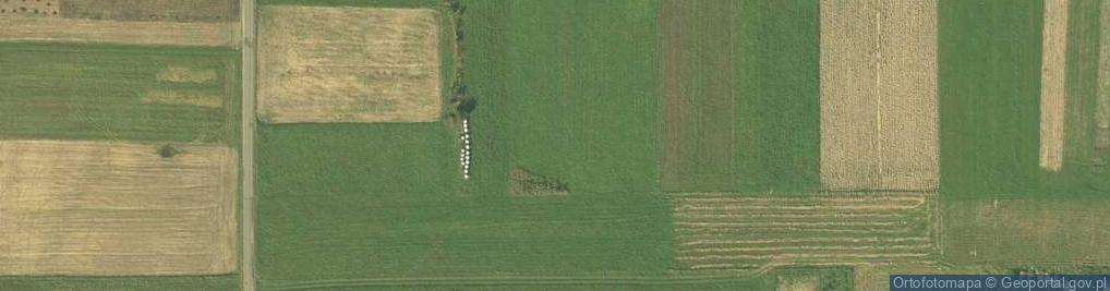 Zdjęcie satelitarne Facimiech ul.