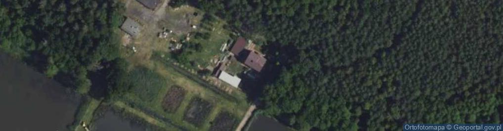 Zdjęcie satelitarne Fajum ul.